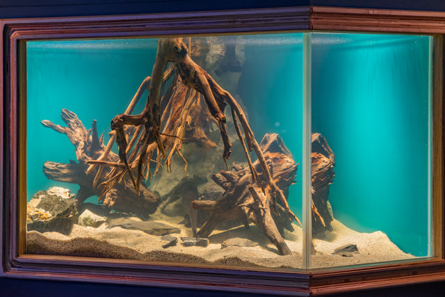 Оригинальная отделка аквариумов деревом